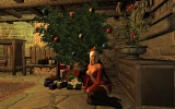 Dezember 2010